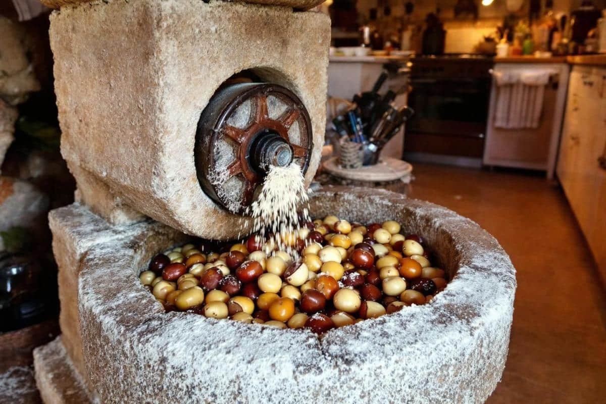 Comment faire de la farine de châtaigne ?