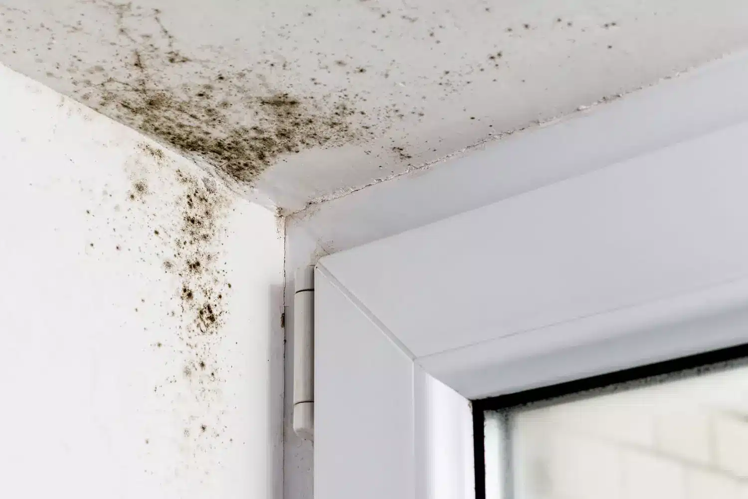 dites adieu à l’odeur de moisi dans la salle de bains, cet objet à moins de 40 centimes est super efficace